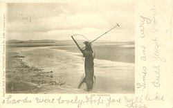 THE SHRIMPER
