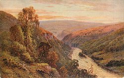 river between steep banks, birch tree to left, bushes rise to right, small island in river