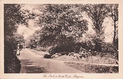 THE PARK (NORTH END)