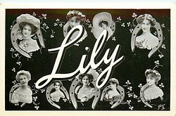 LILY