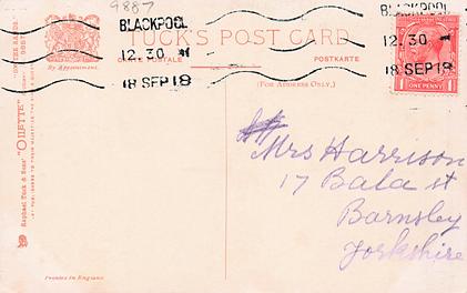 Image 7