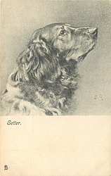 SETTER