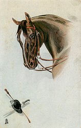 head of brown horse looking left, black riding hat, sword & crop bottom left