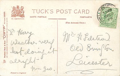 Image 10