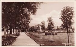 CROE AVENUE