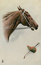 head of brown race horse looking right, jockey hat and crop below