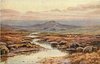 Image 1 - stream running lower left to center, sheep grazing on right