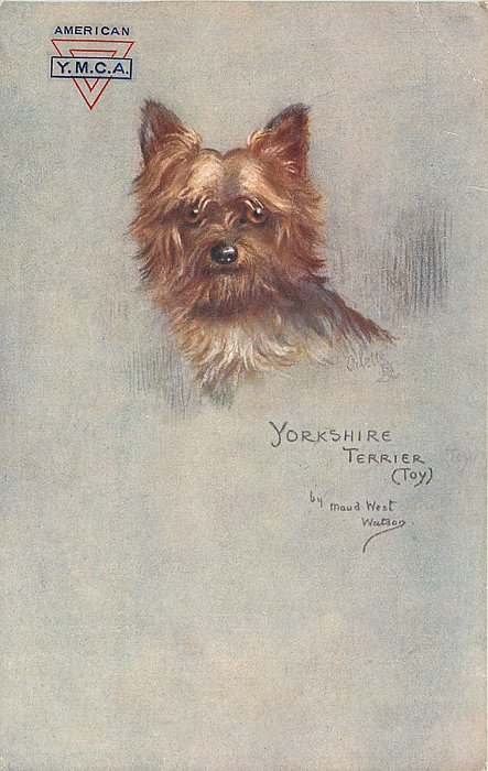 Image 7
