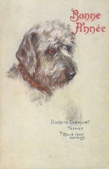 Image 7