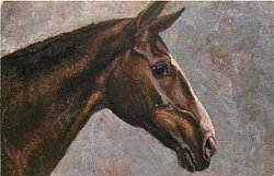 IRISH BRED