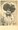Image 3 - MISS OLGA KINGSTON