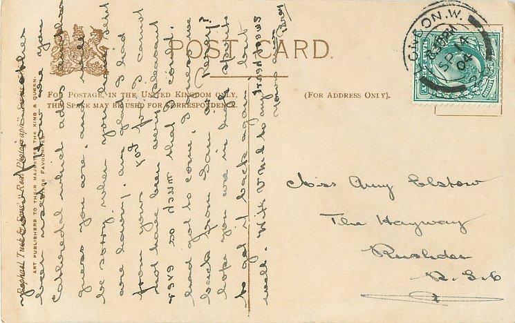 Image 6
