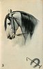 Image 1 - head of grey horse, looking left, crop and horseshoe below