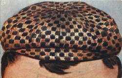 forehead with chequered cloth cap
