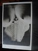 Image 1 - woman in white big sleeves, looks like wings