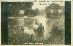 L'ABREUVOIR