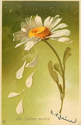 JE T'AIME MOINS five petals fall from daisy
