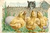 Image 1 - JOYEUX PAQUES three chicks look at curious cat peeking over fence