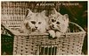 Image 1 - A HAMPER OF MISCHIEF