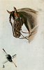 Image 1 - head of brown horse looking left, black riding hat, sword & crop bottom left
