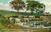Image 1 - THE MILKY DROVE, LUXURIANT, SPREAD O'ER THE LOWING VALE