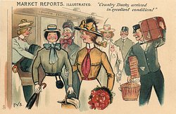 "COUNTRY DUCKS ARRIVED IN EXCELLENT CONDITION!"