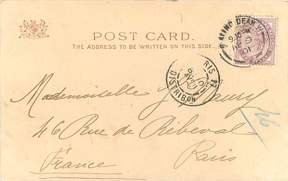 Image 6