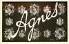 Image 1 - AGNES
