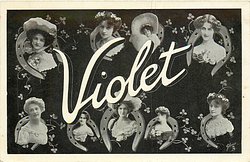 VIOLET
