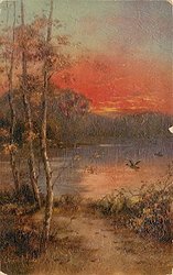 sunset scene, trees and lake