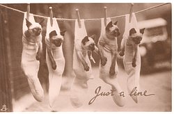 JUST A LINE