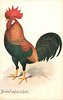 Image 1 - BROWN LEGHORN COCK
