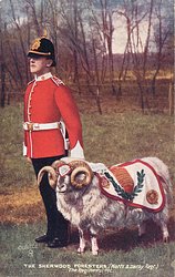 THE REGIMANTAL PET-THE SHERWOOD FORESTERS (NOTTS & DERBY REGT.)