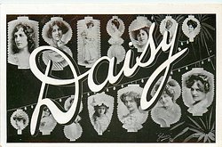 DAISY