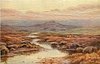 Image 2 - stream running lower left to center, sheep grazing on right