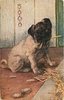 Image 2 - THE PUG DOG