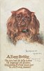 Image 7 - BLENHEIM SPANIEL