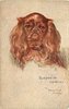 Image 2 - BLENHEIM SPANIEL