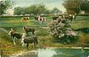 Image 1 - SCATTERED HERDS, THAT IN THE MEADOWS GRAZE SOME AMID LINGERING SHADE, SOME TOUCHED BY THE SUN'S RAYS