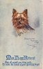 Image 3 - YORKSHIRE TERRIER (TOY)