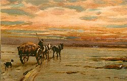 man on horse & cart, with two horses on beach, dog follows