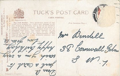 Image 10