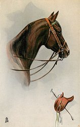 head of brown horse looking right, saddle and crop below
