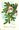 Image 1 - LOVING CHRISTMAS GREETINGS, Santa head above & framed by evergreen