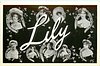 Image 1 - LILY