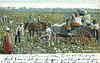 Image 1 - IN THE COTTON FIELD
