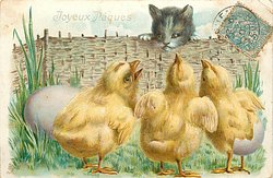 JOYEUX PAQUES three chicks look at curious cat peeking over fence
