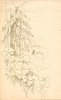 Image 2 - BY WOODLAND WAYS