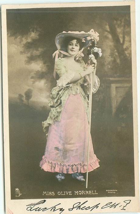 Image 7