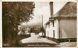 SIDFORD FROM TROW HILL